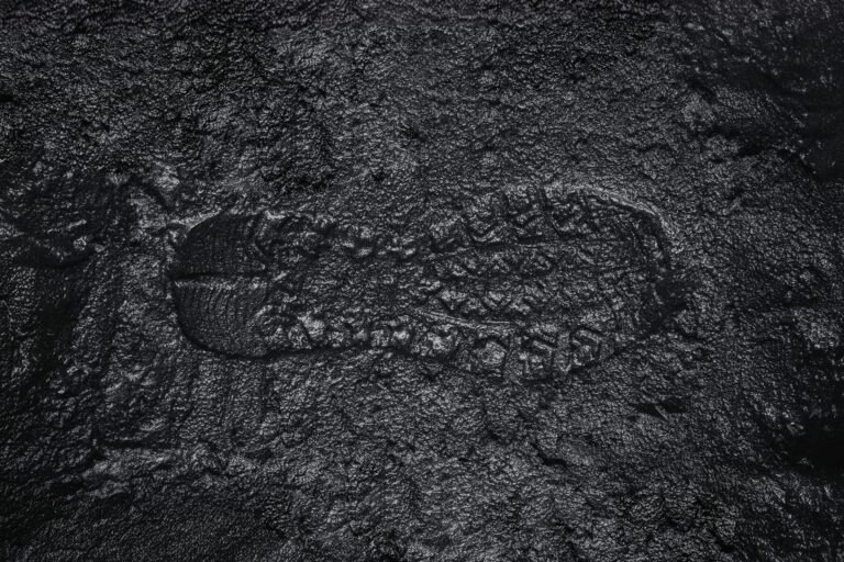 Muddy boot print